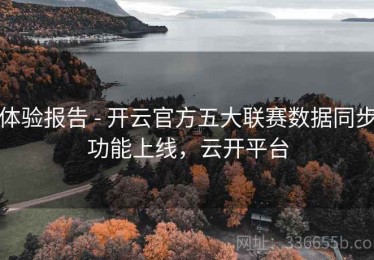 体验报告 - 开云官方五大联赛数据同步功能上线，云开平台